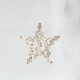 Star - Brooch Ara - 1